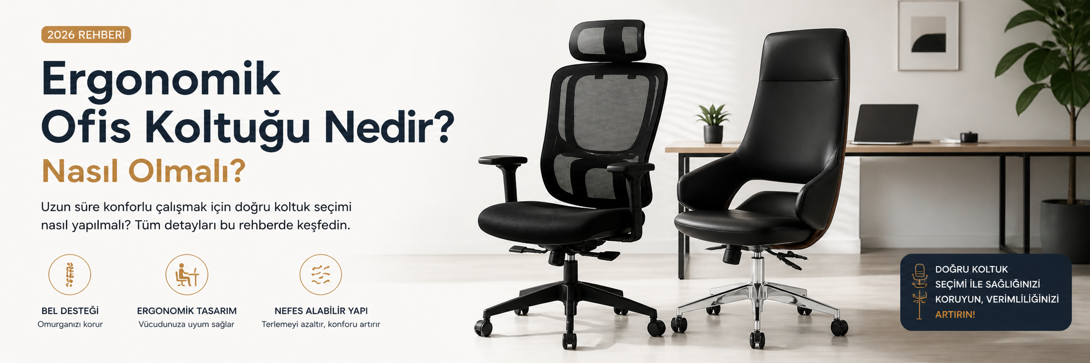 Ergonomik Ofis Koltuğu Nedir? Nasıl Olmalı? (2026 Rehberi)
